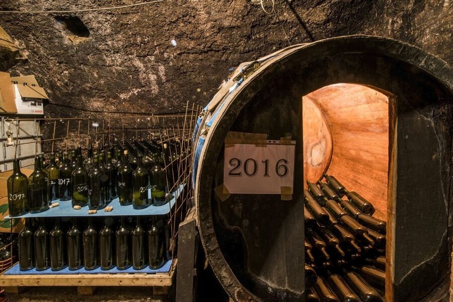 Wine taste in Tokaj Private Day Tour from Budapest - Wheelchair accessibility: what’s good to know upfront
