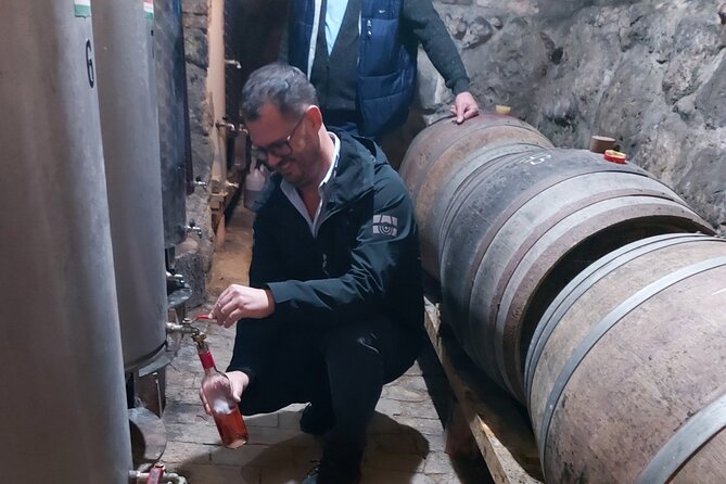 Wine Tasting in the Countryside from Budapest - Key things I’d plan around
