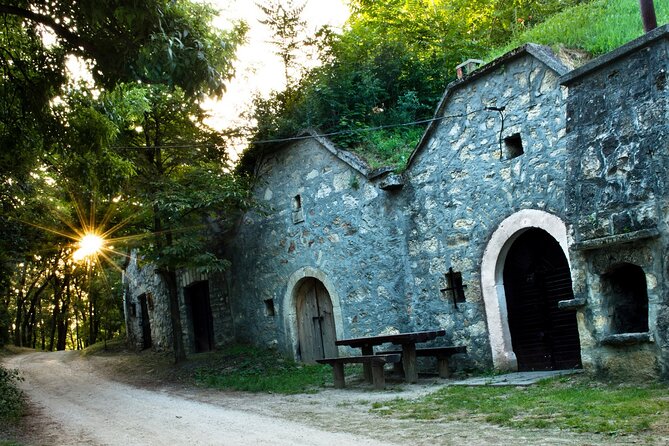 Wine Tasting in the Countryside from Budapest - Paty’s 250-Cellar Village: Budapest’s Fast Escape