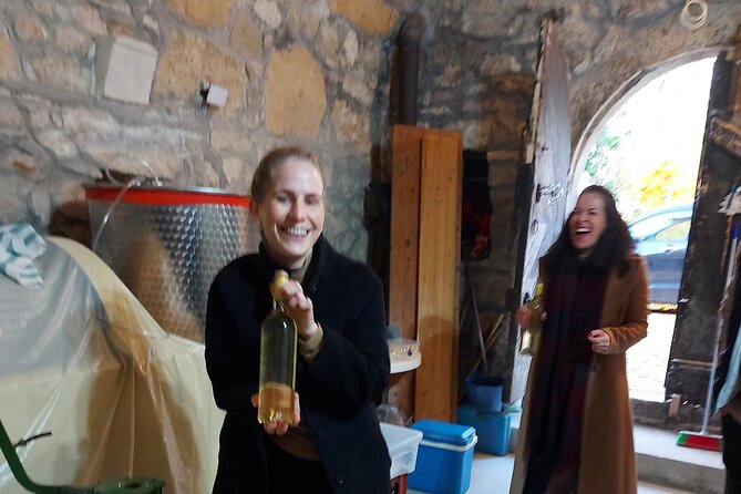 Wine Tasting in the Countryside from Budapest - Getting There: Pickup Near Deák Ferenc Square and an 11:00 Start