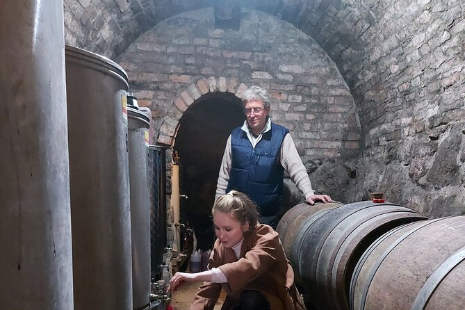 Wine Tasting in the Countryside from Budapest - Should You Book This Wine Tasting Near Budapest?
