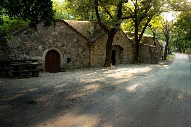Wine Tasting in the Countryside from Budapest - Your Guide, Miklós Csizmadia, Turns Tastings Into Stories